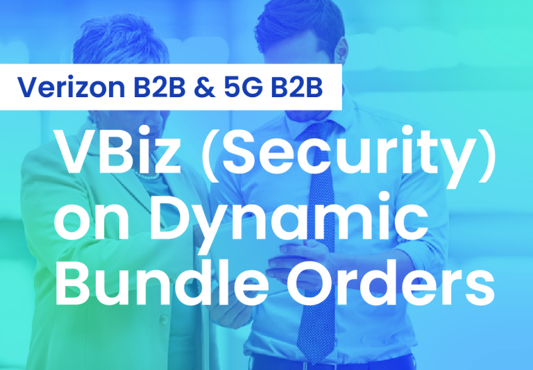 VBiz (security) on Dynamic Bundle Orders